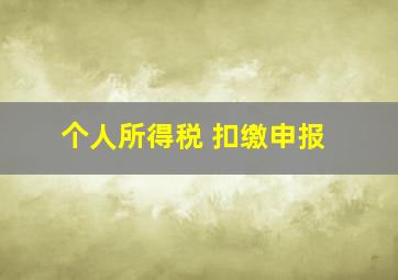 个人所得税 扣缴申报